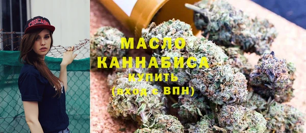 2c-b Богородицк