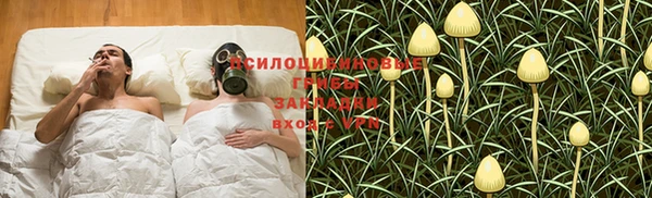 2c-b Богородицк
