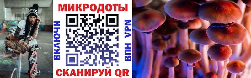 наркотики Реутов Псилоцибиновые грибы MAGIC MUSHROOMS